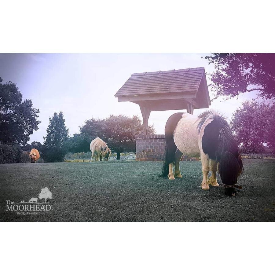 The Moorhead Bed & Breakfast Wem Exterior photo